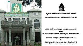 BBMP Budget: ಬೆಂಗಳೂರಿನ ರಸ್ತೆ ಅಭಿವೃದ್ಧಿ, ಮೂಲಸೌಕರ್ಯ ಕ್ಷೇತ್ರಕ್ಕೆ ಬಿಬಿಎಂಪಿ ಬಜೆಟ್​ನಲ್ಲಿ ಸಿಕ್ಕಿದ್ದೇನು? ಇಲ್ಲಿದೆ ವಿವರ