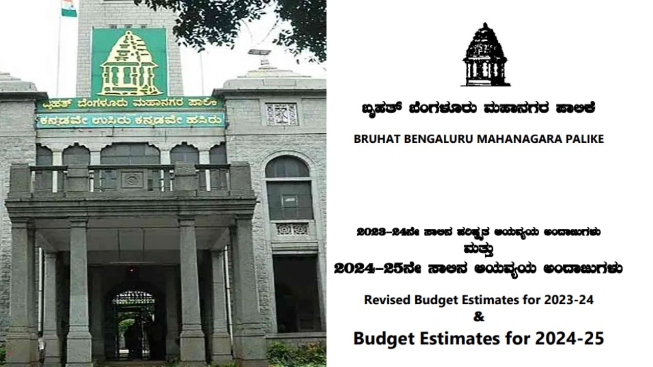 ಬಿಬಿಎಂಪಿ ಬಜೆಟ್​: ಬೆಂಗಳೂರಿನ ನೂರು ಕಡೆ SHE TOILET, ಪೌರಕಾರ್ಮಿಕ ವಿಶ್ರಾಂತಿ ತಾಣಕ್ಕೆ 10 ಕೋಟಿ ರೂ, ಇನ್ನೂ ಏನೇನಿದೆ?