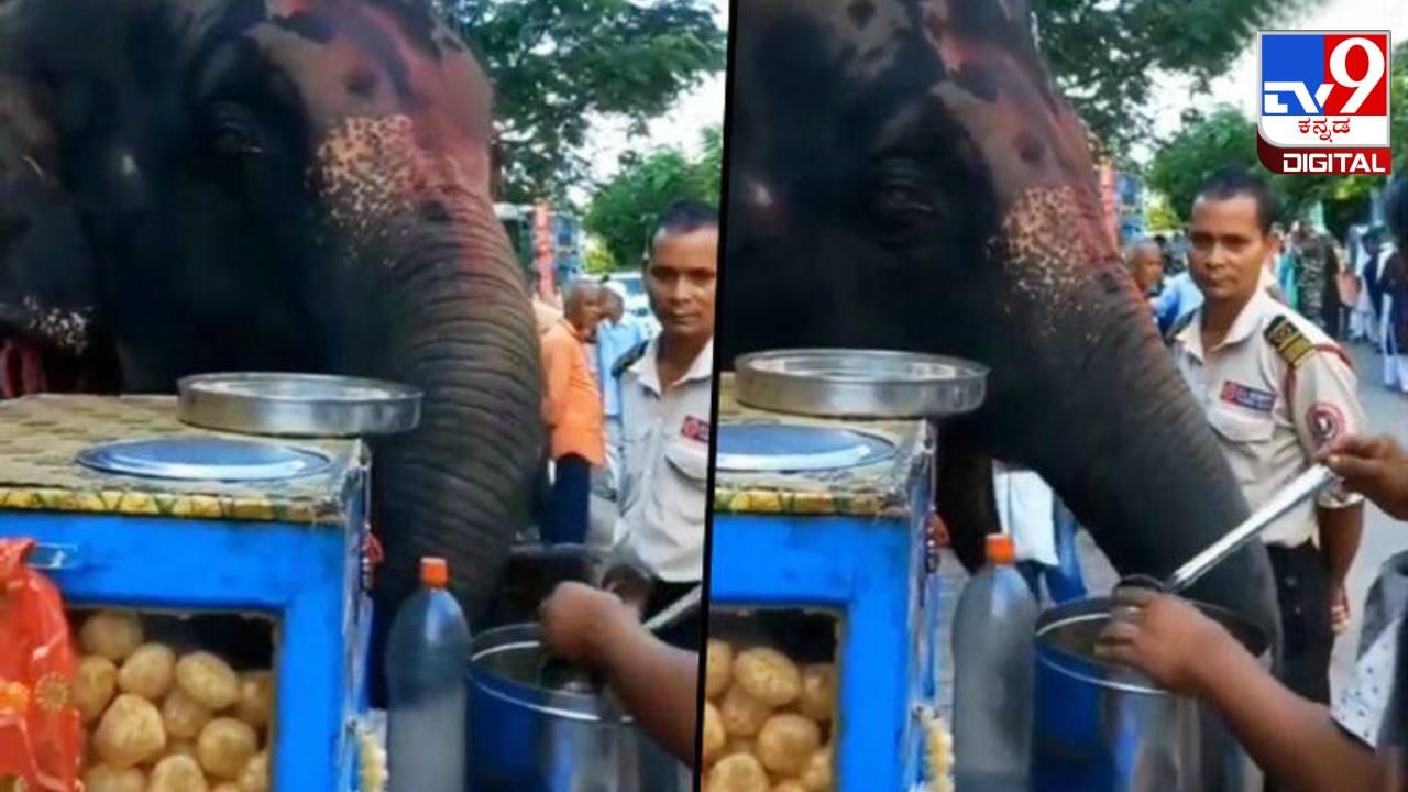 Viral Video: ರಸ್ತೆ ಬದಿಯಲ್ಲಿ ಪಾನಿಪುರಿ ಸವಿದ ಗಜರಾಜ; ವಿಡಿಯೋ ಇಲ್ಲಿದೆ ನೋಡಿ