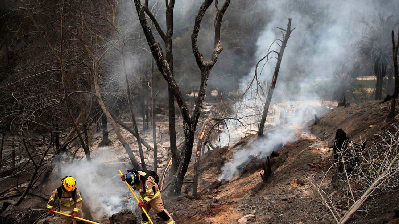 Chile Wildfires: ಚಿಲಿ ಗಾಡ್ಗಿಚ್ಚಿಗೆ ಇಲ್ಲಿಯವರೆಗೆ 120ಕ್ಕೂ ಅಧಿಕ ಜನರು ಬಲಿ