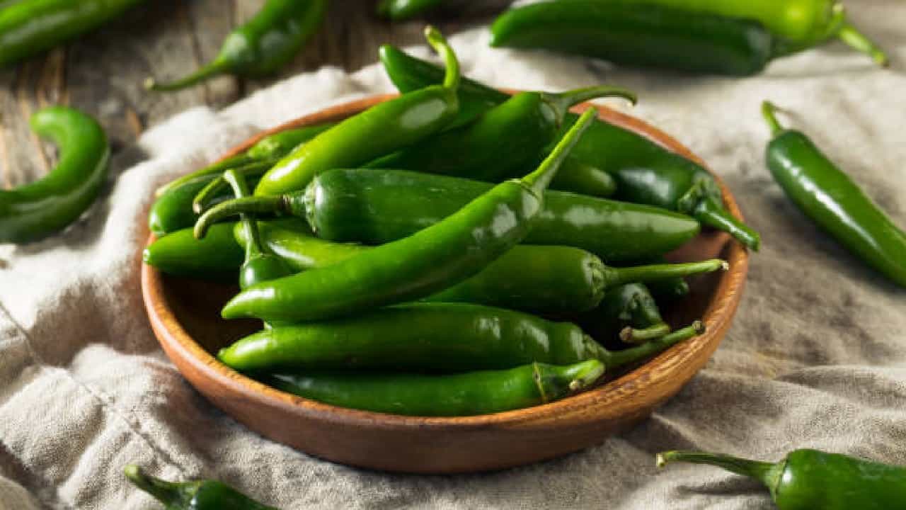 Chillies Benefits: ಖಾರವೆಂದು ಮೆಣಸನ್ನು ಮೂದಲಿಸಬೇಡಿ; ಇದರ ಆರೋಗ್ಯ ಪ್ರಯೋಜನಗಳಿವು Chillies Benefits: ಖಾರವೆಂದು ಮೆಣಸನ್ನು ಮೂದಲಿಸಬೇಡಿ; ಇದರ ಆರೋಗ್ಯ ಪ್ರಯೋಜನಗಳಿವು