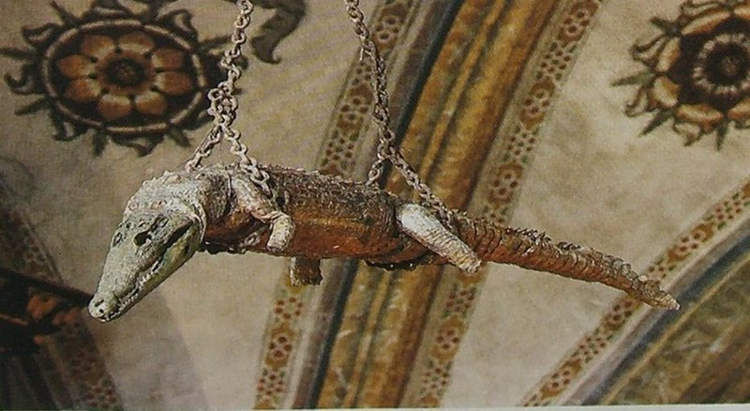 Crocodile in the Church, Italian church, crocodile dead body