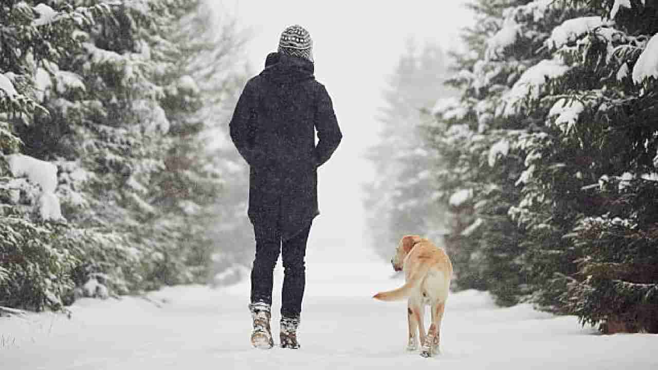 ತಣ್ಣನೆಯ ವಾತಾವರಣದಲ್ಲಿ ವಾಕಿಂಗ್ ಮಾಡುವುದು ಒಳ್ಳೆಯದಾ?