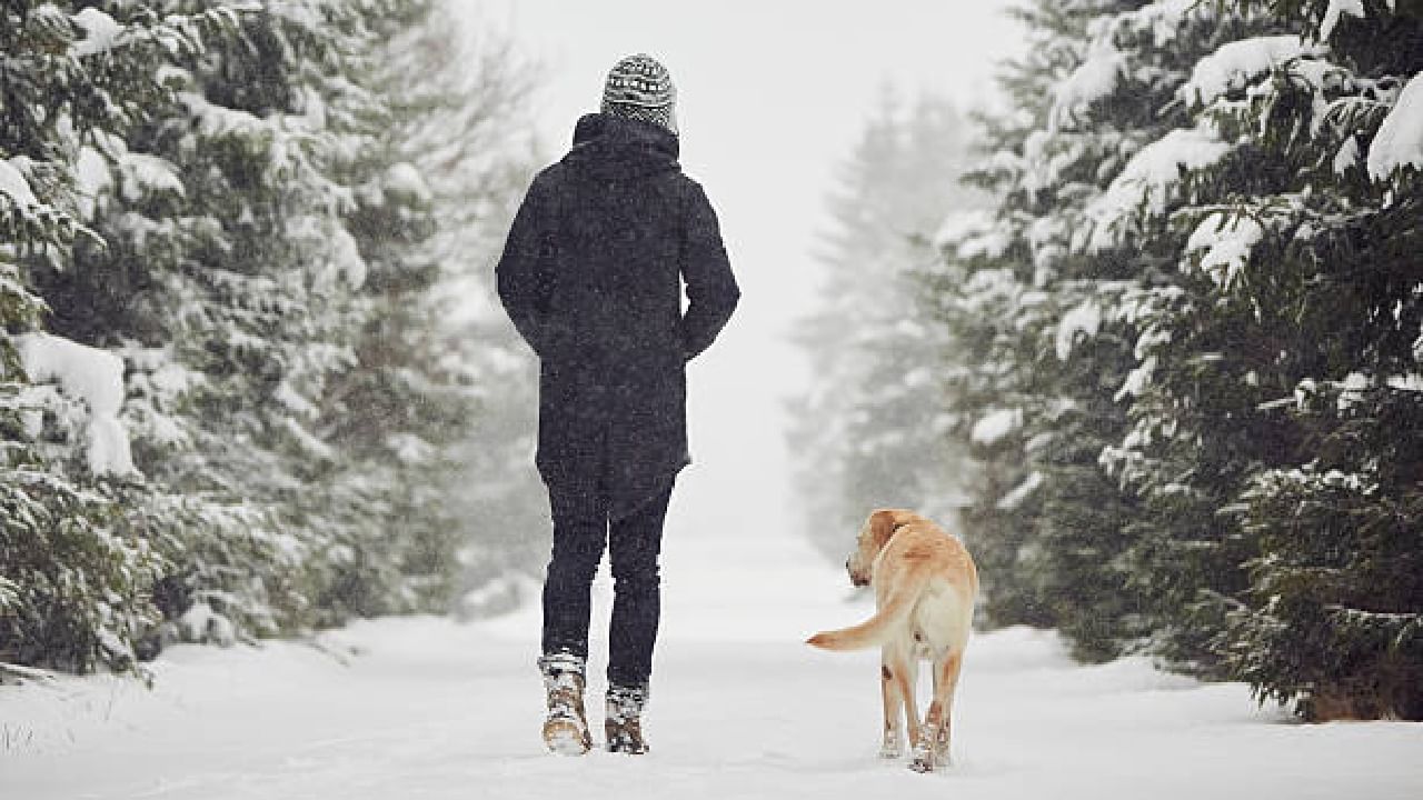 ತಣ್ಣನೆಯ ವಾತಾವರಣದಲ್ಲಿ ವಾಕಿಂಗ್ ಮಾಡುವುದು ಒಳ್ಳೆಯದಾ? ತಣ್ಣನೆಯ ವಾತಾವರಣದಲ್ಲಿ ವಾಕಿಂಗ್ ಮಾಡುವುದು ಒಳ್ಳೆಯದಾ?