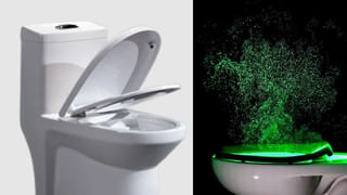 ಮಧುಮೇಹ ರೋಗಿಗಳಿಗೆ ಈ ಆಹಾರ ವರವಾಗಿದೆ! ಯಾವ ಆಹಾರ ಸಕ್ಕರೆ ಮಟ್ಟವನ್ನು ನಿಯಂತ್ರಿಸಬಹುದು?