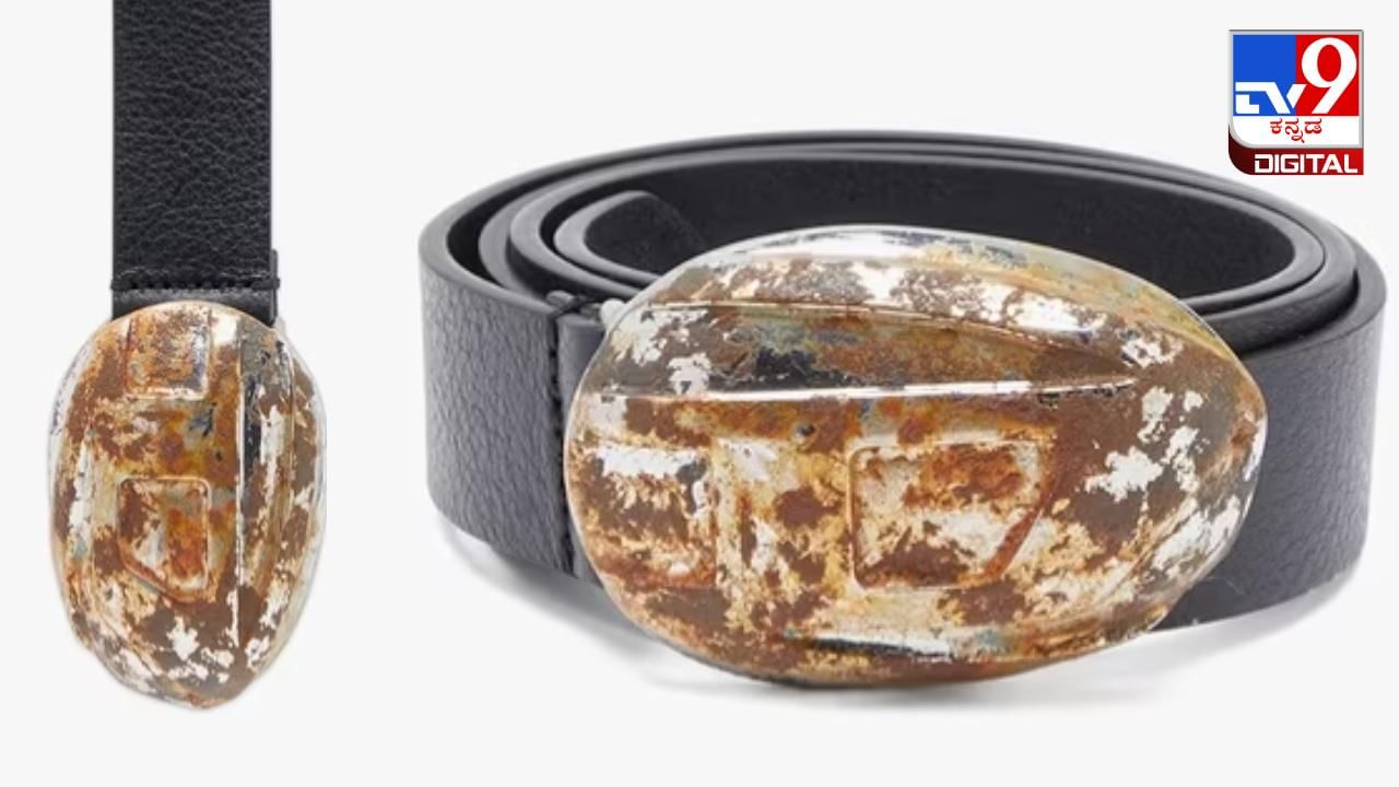 Expensive Belt: ನೋಡಲು ತುಕ್ಕು ಹಿಡಿದಂತಿರುವ ಈ ಬೆಲ್ಟ್ನ ಬೆಲೆ ಕೇಳಿದ್ರೆ ನೀವು ಶಾಕ್ ಆಗುವುದಂತೂ ಖಂಡಿತಾ!