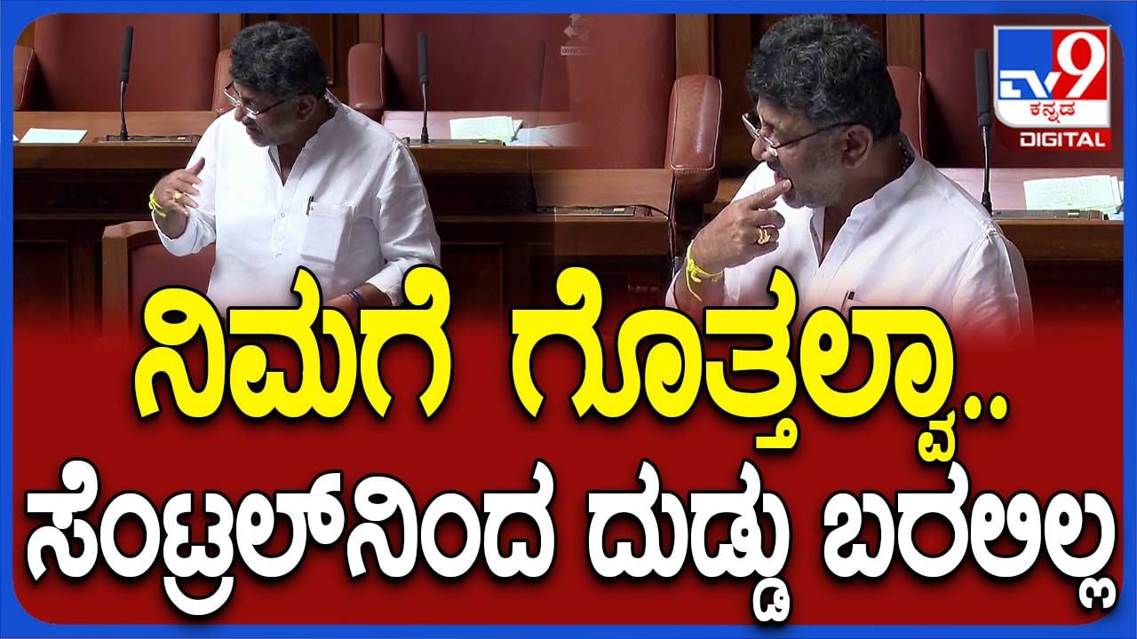 Karnataka Budget Session: ತುಮಕೂರು ಜಿಲ್ಲೆಯಲ್ಲಿ ನೀರಾವರಿ ಯೋಜನೆ ಕಾಮಗಾರಿ ಮಂದಗತಿಯಲ್ಲಿ ಸಾಗುತ್ತಿರವುದಕ್ಕೆ ಕಾರಣ ನೀಡಿದ ಡಿಕೆ ಶಿವಕುಮಾರ್