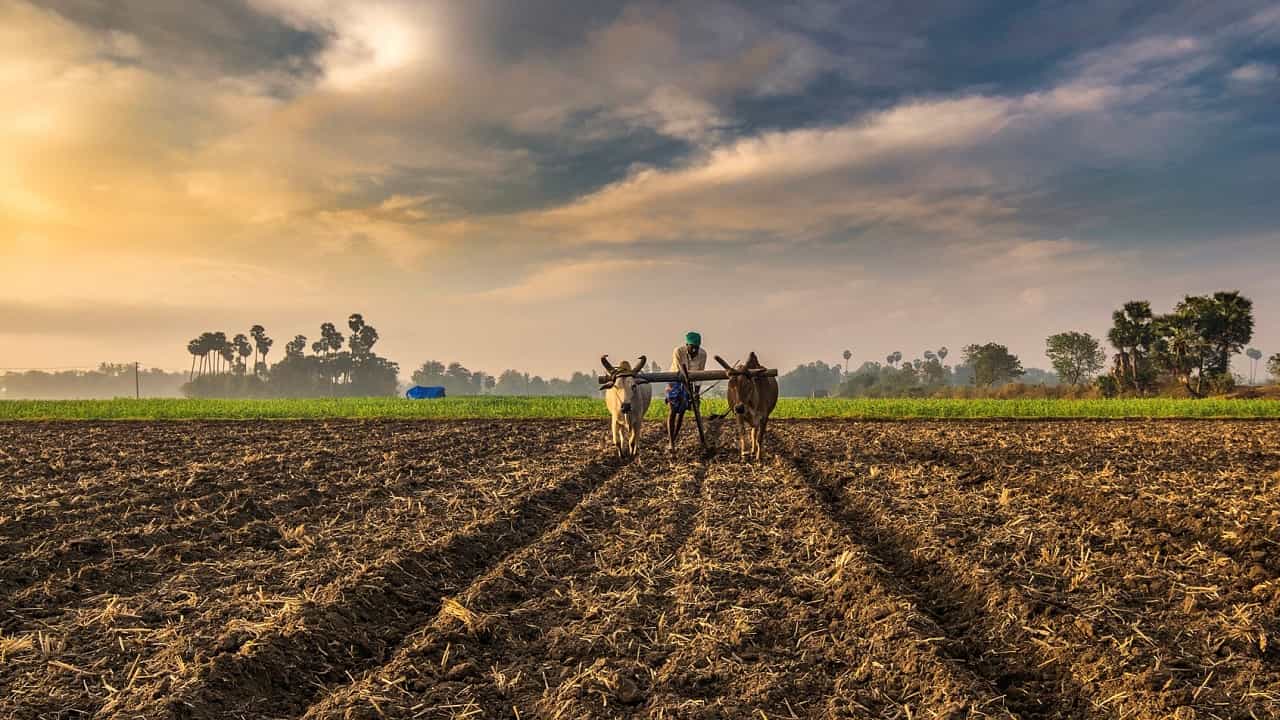 For Farmers: ರೈತರ ಆದಾಯ ಹೆಚ್ಚಿಸಲು ಸರ್ಕಾರ ಕೈಗೊಂಡ 9 ಯೋಜನೆಗಳಿವು... For Farmers: ರೈತರ ಆದಾಯ ಹೆಚ್ಚಿಸಲು ಸರ್ಕಾರ ಕೈಗೊಂಡ 9 ಯೋಜನೆಗಳಿವು...