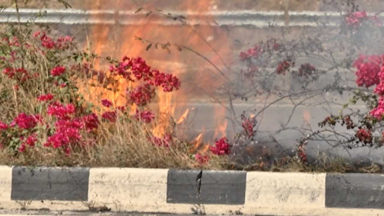 Ramanagara: ಬೆಂಗಳೂರು-ಮೈಸೂರು ಎಕ್ಸ್ಪ್ರೆಸ್ ಹೈವೇಯಲ್ಲಿ ಹೊತ್ತಿ ಉರಿದ ಹೂ ಗಿಡಗಳು
