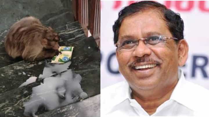 ತುಮಕೂರು: ಗೃಹ ಸಚಿವರ ಮನೆಯೊಳಗೆ ನುಗ್ಗಿ ಕದ್ದು ಹಾಲು ಕುಡಿದ ಕೋತಿ ತುಮಕೂರು: ಗೃಹ ಸಚಿವರ ಮನೆಯೊಳಗೆ ನುಗ್ಗಿ ಕದ್ದು ಹಾಲು ಕುಡಿದ ಕೋತಿ
