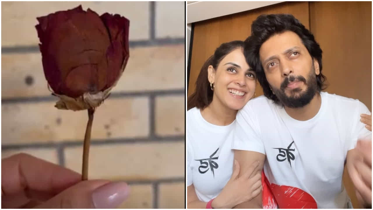 21 ವರ್ಷದ ಹಿಂದೆ ಪ್ರಿಯಕರ ಕೊಟ್ಟ ಹೂವು ಜೆನಿಲಿಯಾ ಬಳಿ ಇನ್ನೂ ಹೇಗಿದೆ ನೋಡಿ.. 21 ವರ್ಷದ ಹಿಂದೆ ಪ್ರಿಯಕರ ಕೊಟ್ಟ ಹೂವು ಜೆನಿಲಿಯಾ ಬಳಿ ಇನ್ನೂ ಹೇಗಿದೆ ನೋಡಿ..