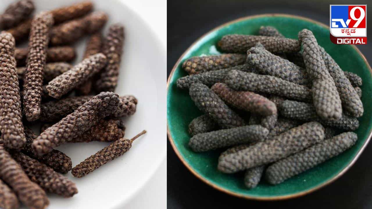 Long Pepper: ಅಡುಗೆಯ ಮನೆಯಲ್ಲಿರುವ ಹಿಪ್ಪಲಿಯಲ್ಲಿದೆ ನೂರೆಂಟು ಔಷಧೀಯ ಗುಣ, ಆರೋಗ್ಯಕ್ಕೆ ಬಹಳ ಉಪಯುಕ್ತ Long Pepper: ಅಡುಗೆಯ ಮನೆಯಲ್ಲಿರುವ ಹಿಪ್ಪಲಿಯಲ್ಲಿದೆ ನೂರೆಂಟು ಔಷಧೀಯ ಗುಣ, ಆರೋಗ್ಯಕ್ಕೆ ಬಹಳ ಉಪಯುಕ್ತ