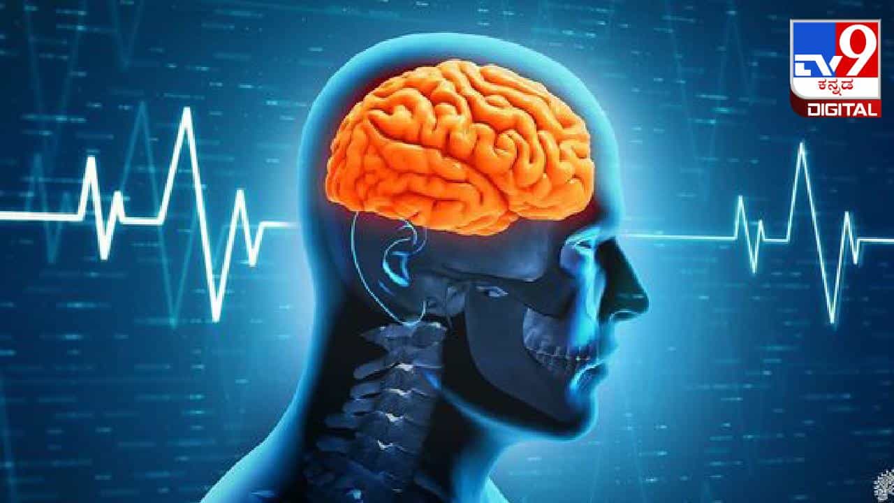 Health Problems: ಗಾಢ ನಿದ್ದೆಯಲ್ಲಿರುವವರನ್ನು ತಕ್ಷಣ ಎಬ್ಬಿಸುವುದು ಎಷ್ಟು ಅಪಾಯಕಾರಿ ಗೊತ್ತಾ? Health Problems: ಗಾಢ ನಿದ್ದೆಯಲ್ಲಿರುವವರನ್ನು ತಕ್ಷಣ ಎಬ್ಬಿಸುವುದು ಎಷ್ಟು ಅಪಾಯಕಾರಿ ಗೊತ್ತಾ?