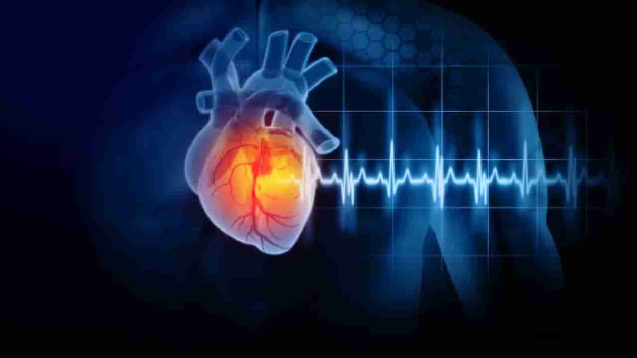 Heart Blockage: ಹೃದಯದ ತೊಂದರೆಗೆ ಆಯುರ್ವೇದ ಚಿಕಿತ್ಸೆಯಲ್ಲಿದೆ ಪರಿಹಾರ