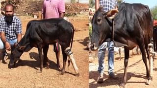 ಬಿಲ್​ ಪಾವತಿಸದ ಮಹಿಳೆ, ವಿದ್ಯುತ್ ಸರಬರಾಜು ಬಂದ್ ಮಾಡಿದ್ದ ಹೆಸ್ಕಾಂ – ಗ್ರಾಹಕರ ಆಯೋಗ ಹೇಳಿದ್ದೇನು?