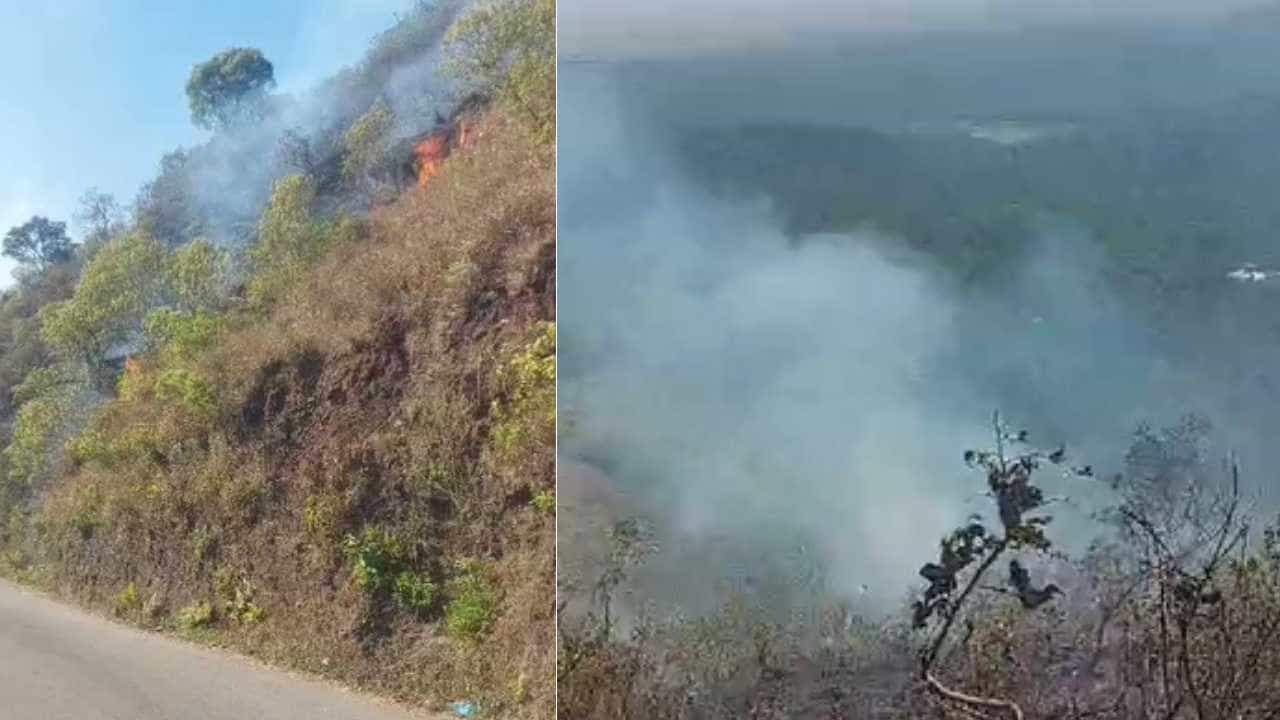 Mullayyanagiri Betta: ವಿಶ್ವ ಪ್ರಸಿದ್ಧ ಮುಳ್ಳಯ್ಯನಗಿರಿ ಗುಡ್ಡದಲ್ಲಿ ಕಾಡ್ಗಿಚ್ಚು: ನೂರಾರು ಎಕರೆ ಸಸ್ಯ ಸಂಪತ್ತು ಭಸ್ಮ