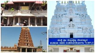 ಬಿಳಿ ಅರಿಶಿನದ ಅದ್ಭುತ ಆರೋಗ್ಯ ಪ್ರಯೋಜನಗಳು, ಮಹಿಳೆಯರ ಸಮಸ್ಯೆಗಳಿಗೆ ಇದು ದಿವ್ಯ ಔಷಧಿ!