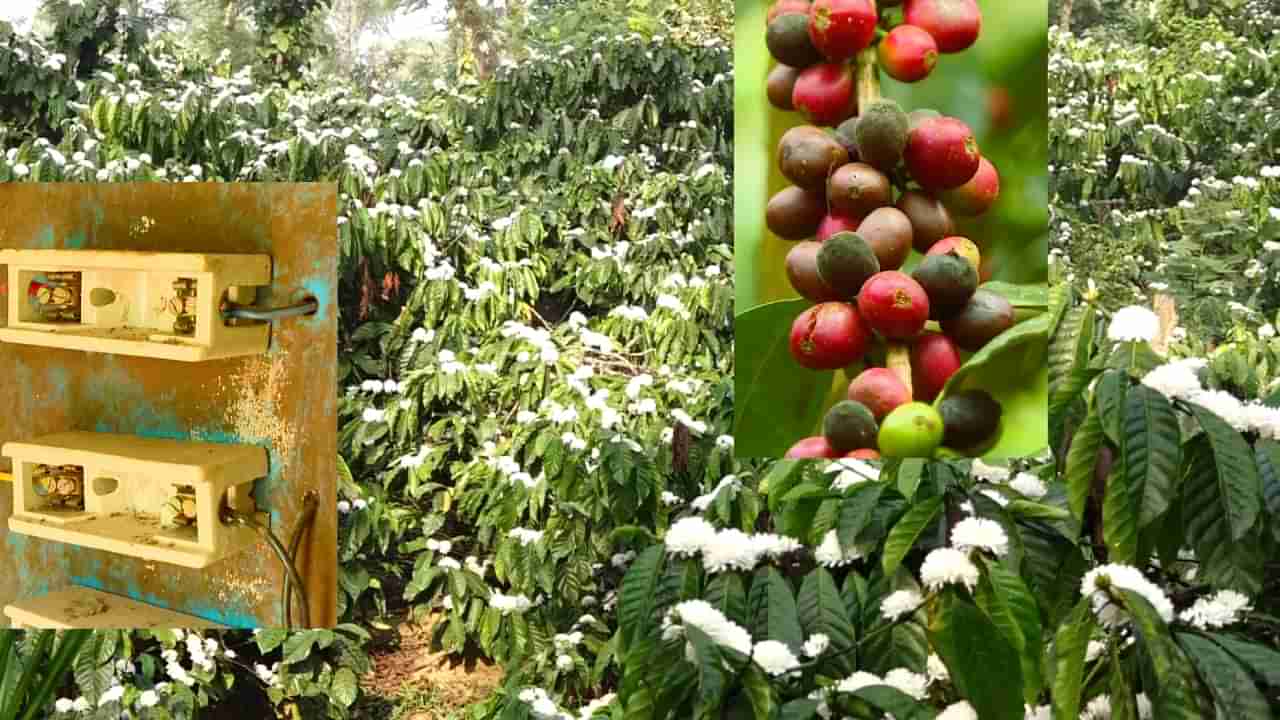 ರೈತರ ವಿದ್ಯುತ್ ಸಂಪರ್ಕ ಕಡಿತಗೊಳಿಸುತ್ತಿರುವ ಅಧಿಕಾರಿಗಳು! ಉಚಿತ ವಿದ್ಯುತ್ ನೀಡುವ ಸಿದ್ದರಾಮಯ್ಯ ಸರ್ಕಾರದ ವಾಗ್ದಾನ ಏನಾಯಿತು?