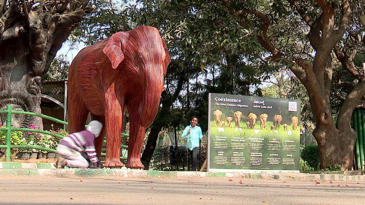 ಒಂದು ಕಡೆ ಮುಗ್ದ ಮಕ್ಕಳು ಗಜ ಪ್ರತಿಕೃತಿಗಳ ಜೊತೆ ಆಟ ಆಡಿಕೊಂಡು ಸಂತೋಷ ಪಡುತ್ತಿದ್ರೆ, ಇನ್ನೊಂದು ಕಡೆ ಯುವಕ ಯುವತಿಯರು ಆನೆಗಳ ಜೊತೆ ಸೆಲ್ಫಿ, ರೀಲ್ಸ್ ಮಾಡಿಕೊಂಡು ಎಂಜಾಯ್ ಮಾಡ್ತಿದ್ದಾರೆ.