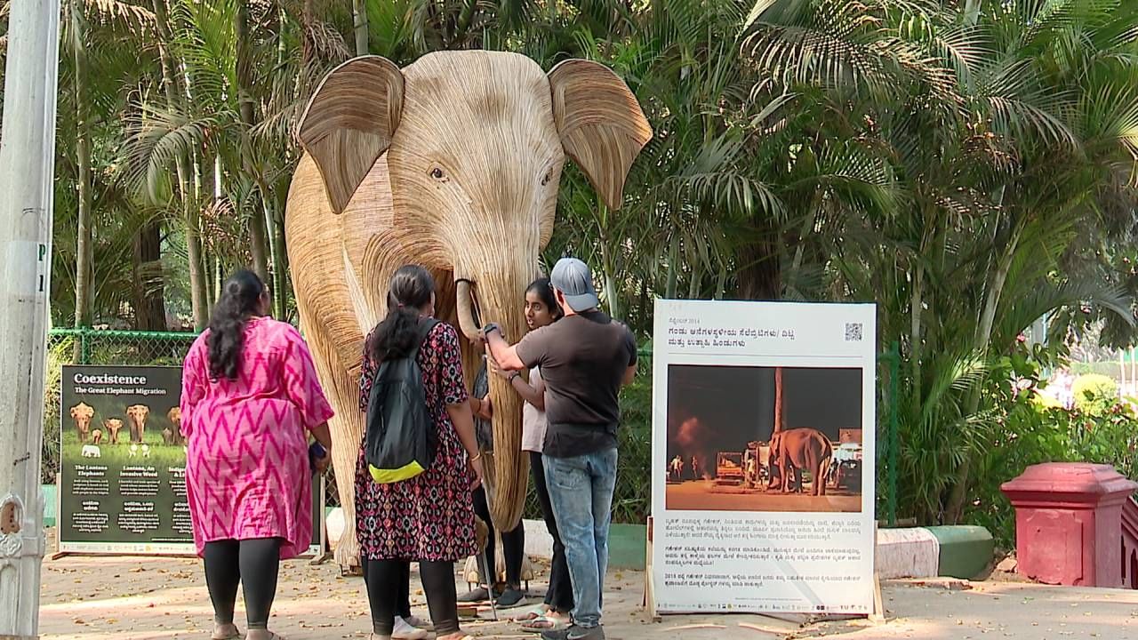 ಮಾರ್ಚ್ 3ರ ವರೆಗೂ ಆನೆಗಳ ಪ್ರತಿಕೃತಿ ಪ್ರದರ್ಶನ ನಡೆಯಲಿದೆ. ಇನ್ನೂ ಬೆಳ್ಳಂ ಬೆಳ್ಳಗೆ ಲಾಲ್ ಬಾಗ್​ಗೆ ವಾಕಿಂಗ್ ಬಂದ ಮಂದಿ ಜೀವಂತ ಆನೆಗಳನ್ನು ನೋಡಿದಂತೆ ಭಾಸವಾಗ್ತಿದೆ ಎಂದು ಖುಷಿ ಪಡುತ್ತಿದ್ದಾರೆ. ಅಷ್ಟೆ ಅಲ್ಲದೆ ವೀಕೆಂಡ್​ನಲ್ಲಿ ತಮ್ಮ ಫ್ಯಾಮಿಲಿ ಮತ್ತು ಫ್ರೆಂಡ್ಸ್ ಜೊತೆಗೆ ಬಂದು ಲಾಂಟಾನಾ ಆನೆಗಳನ್ನು ಕಂಡು ಖುಷ್ ಆಗಿದ್ದಾರೆ.