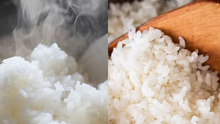 Preterm Births: ಅತಿಯಾದ ತಾಪಮಾನದಿಂದ ಅವಧಿಪೂರ್ವ ಮಗುವಿನ ಜನನದ ಪ್ರಮಾಣ ಶೇ. 60ರಷ್ಟು ಹೆಚ್ಚಳ!