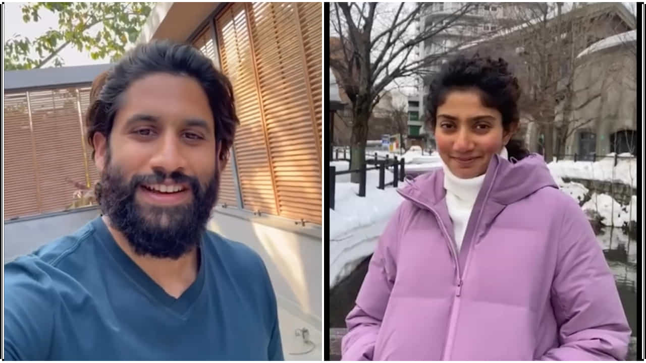 ಪ್ರೇಮಿಗಳ ದಿನಕ್ಕೆ ಸಾಯಿ ಪಲ್ಲವಿ, ನಾಗ ಚೈತನ್ಯ ವಿಶೇಷ ವಿಡಿಯೋ; ಮದುವೆ ಆಗಲು ಫ್ಯಾನ್ಸ್ ಒತ್ತಾಯ ಪ್ರೇಮಿಗಳ ದಿನಕ್ಕೆ ಸಾಯಿ ಪಲ್ಲವಿ, ನಾಗ ಚೈತನ್ಯ ವಿಶೇಷ ವಿಡಿಯೋ; ಮದುವೆ ಆಗಲು ಫ್ಯಾನ್ಸ್ ಒತ್ತಾಯ