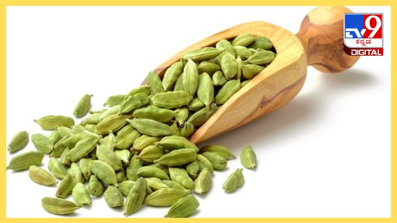 ಅಡುಗೆಯ ಘಮ ಹೆಚ್ಚಿಸುವ ಏಲಕ್ಕಿಯಿಂದ ಆರೋಗ್ಯ ಪ್ರಯೋಜನ ಅಷ್ಟಿಷ್ಟಲ್ಲ ಅಡುಗೆಯ ಘಮ ಹೆಚ್ಚಿಸುವ ಏಲಕ್ಕಿಯಿಂದ ಆರೋಗ್ಯ ಪ್ರಯೋಜನ ಅಷ್ಟಿಷ್ಟಲ್ಲ