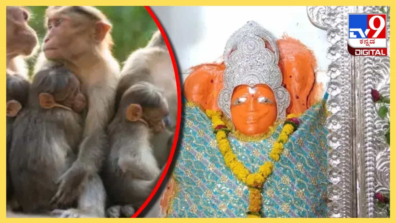 ಈ ದೇವಾಲಯಕ್ಕೆ ಹನುಮಾನ್ ಚಾಲೀಸ್ ಕೇಳಲು ವಿಶೇಷ ಭಕ್ತರು ಬರುತ್ತಾರೆ ಈ ದೇವಾಲಯಕ್ಕೆ ಹನುಮಾನ್ ಚಾಲೀಸ್ ಕೇಳಲು ವಿಶೇಷ ಭಕ್ತರು ಬರುತ್ತಾರೆ
