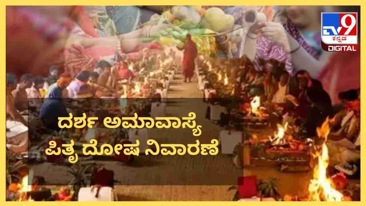 Darsha Amavasya: ದರ್ಶ ಅಮಾವಾಸ್ಯೆಯಂದು ಪಿತೃ ದೋಷ ನಿವಾರಣೆಗೆ ಈ ವಿಧಾನಗಳನ್ನು ಅನುಸರಿಸಿ