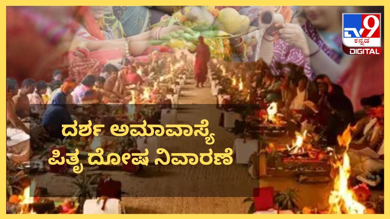 Darsha Amavasya: ದರ್ಶ ಅಮಾವಾಸ್ಯೆಯಂದು ಪಿತೃ ದೋಷ ನಿವಾರಣೆಗೆ ಈ ವಿಧಾನಗಳನ್ನು ಅನುಸರಿಸಿ Darsha Amavasya: ದರ್ಶ ಅಮಾವಾಸ್ಯೆಯಂದು ಪಿತೃ ದೋಷ ನಿವಾರಣೆಗೆ ಈ ವಿಧಾನಗಳನ್ನು ಅನುಸರಿಸಿ