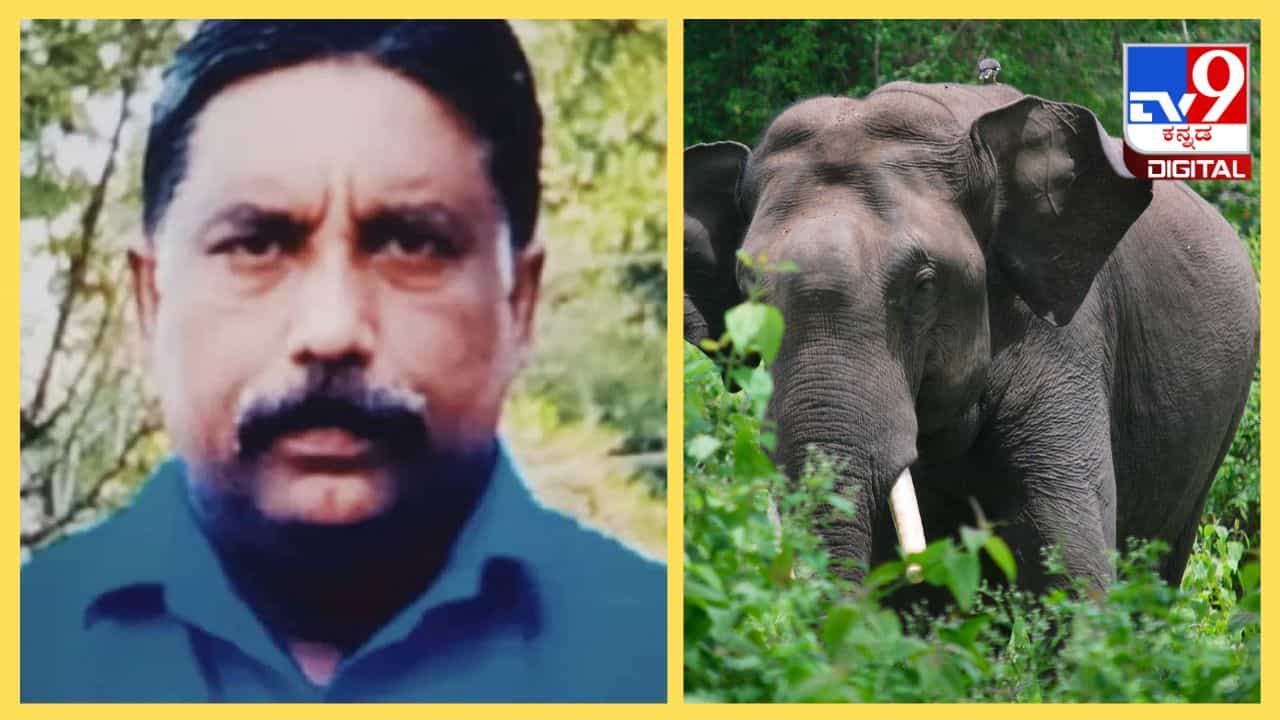 ಕೇರಳ: ಕಾಡಾನೆ ದಾಳಿಗೆ 47 ವರ್ಷದ ವ್ಯಕ್ತಿ ಬಲಿ, ವಯನಾಡಿನಲ್ಲಿ ಸೆಕ್ಷನ್ 144 ಜಾರಿ