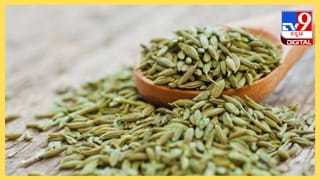 ಮೊಬೈಲ್ ಬಳಕೆಯನ್ನು ಇತಿಮಿತಿಯಲ್ಲಿರಿಸಿದರೆ ಈ ಆರೋಗ್ಯ ಲಾಭಗಳು ಖಂಡಿತ