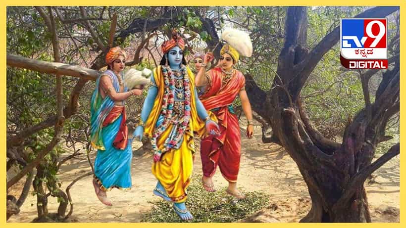 ವೃಂದಾವನದ ನಿಧಿವನಕ್ಕೆ ಸಂಜೆಯ ನಂತರ ಪ್ರವೇಶ ನಿಷೇಧಿಸಿರುವುದೇಕೆ? ಇಲ್ಲಿದೆ ರಹಸ್ಯ ಮಾಹಿತಿ
