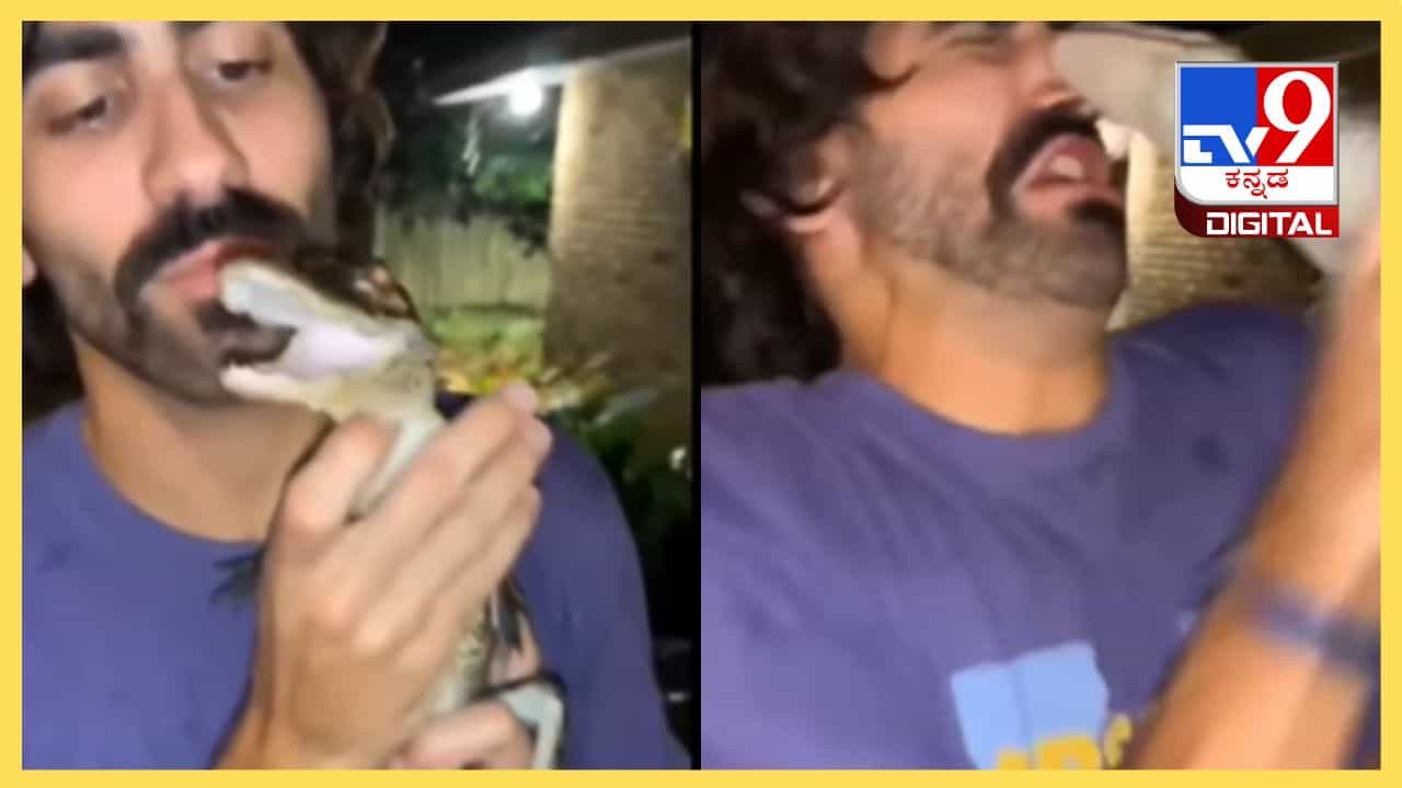 Viral Video: ನಿಂಗಿದು ಬೇಕಿತ್ತಾ ಮಗನೇ; ಮೊಸಳೆ ಮರಿಗೆ ಮುತ್ತು ಕೊಡಲು ಹೋಗಿ ಪಜೀತಿಗೆ ಸಿಲುಕಿದ ವ್ಯಕ್ತಿ Viral Video: ನಿಂಗಿದು ಬೇಕಿತ್ತಾ ಮಗನೇ; ಮೊಸಳೆ ಮರಿಗೆ ಮುತ್ತು ಕೊಡಲು ಹೋಗಿ ಪಜೀತಿಗೆ ಸಿಲುಕಿದ ವ್ಯಕ್ತಿ