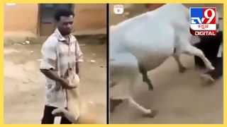 Viral Video: ಬೀದಿ ನಾಯಿಯ ದಾಳಿಯಿಂದ ಯುವಕನನ್ನು ರಕ್ಷಿಸಿದ ಮಹಿಳೆ