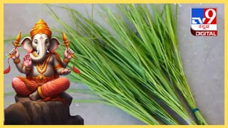 ಮನೆಯಲ್ಲಿ ಈ ಪದಾರ್ಥಗಳಿದ್ದರೆ ಸಾಕು, ಆರೋಗ್ಯಕರ ರಾಗಿ ದೋಸೆ ಹಾಗೂ ತೆಂಗಿನಕಾಯಿ ಚಟ್ನಿ ಮಾಡುವುದು ಸುಲಭ