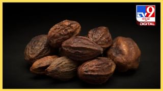 Anant Ambani: ಕೇವಲ 18 ತಿಂಗಳಲ್ಲಿ 108 ಕೆಜಿ ಇಳಿಸಿದ್ದ ಅನಂತ್ ಅಂಬಾನಿ; ಇಲ್ಲಿದೆ ಡಯೆಟ್ ಪ್ಲಾನ್