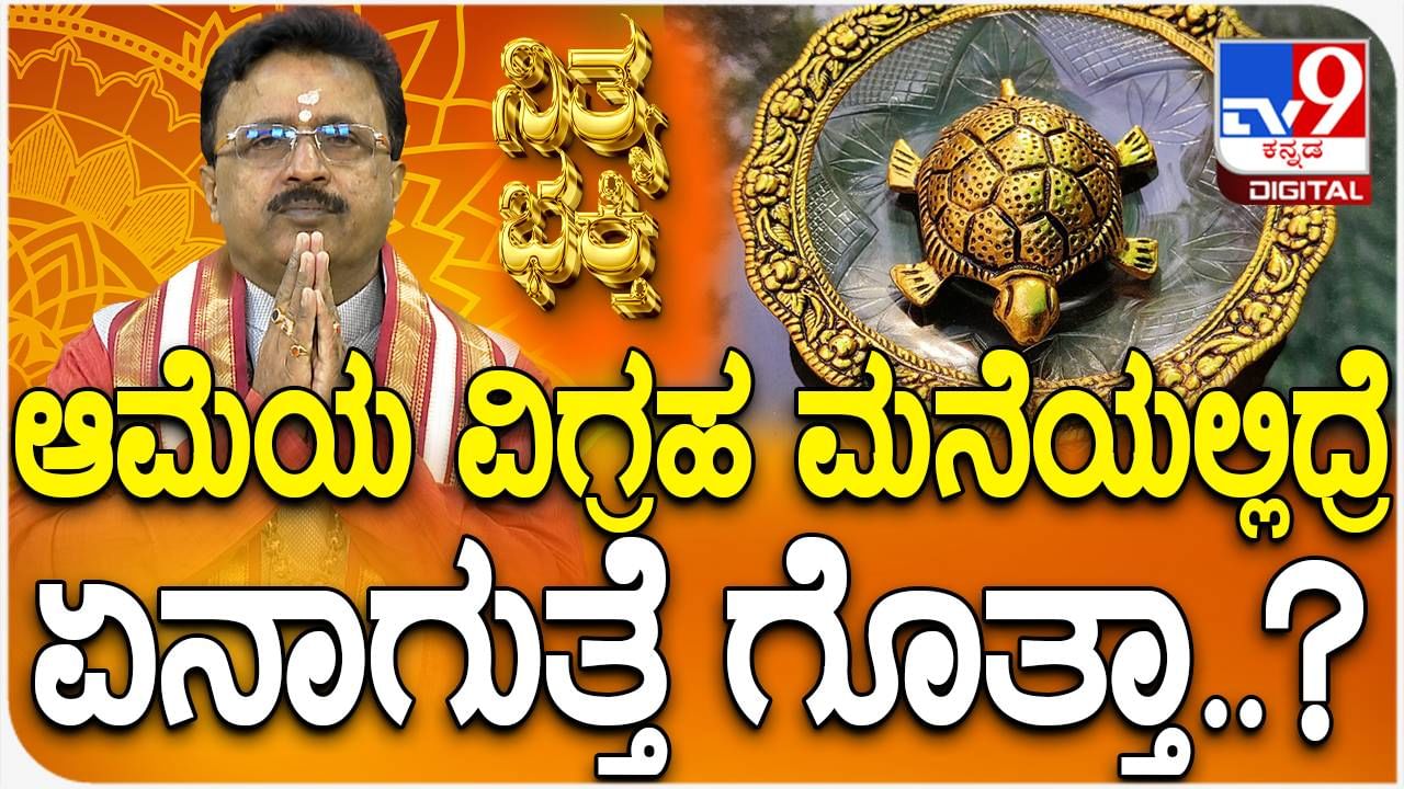 Daily Devotional: ಆಮೆಯ ವಿಗ್ರಹ ಮನೆಯಲ್ಲಿದ್ದರೆ ಏನಾಗುತ್ತೆ ಗೊತ್ತಾ..? ವಿಡಿಯೋ ನೋಡಿ