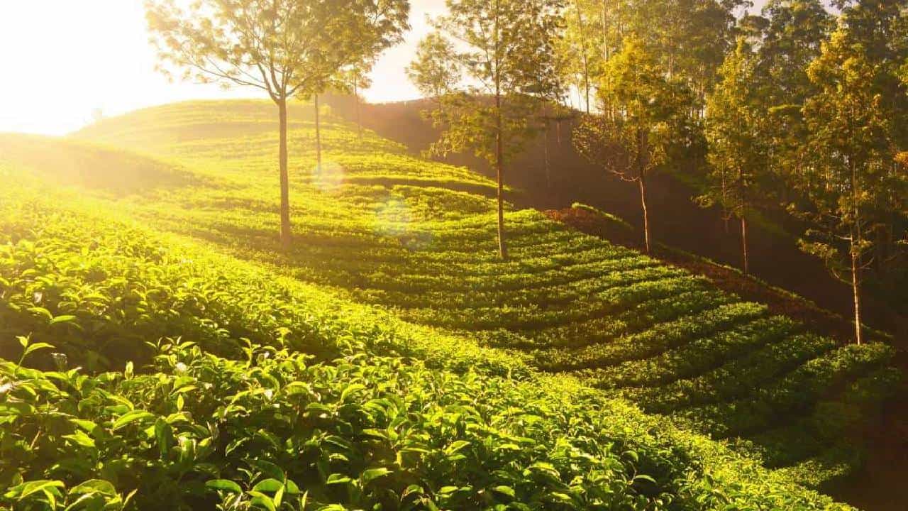 Karnataka Weather: ಹವಾಮಾನದಲ್ಲಿ ಏಕಾಏಕಿ ಬದಲಾವಣೆ, ದಕ್ಷಿಣ ಒಳನಾಡು ಹಾಗೂ ಕರಾವಳಿಯಲ್ಲಿ ಗರಿಷ್ಠ ಉಷ್ಣಾಂಶ ಹೆಚ್ಚಳ Karnataka Weather: ಹವಾಮಾನದಲ್ಲಿ ಏಕಾಏಕಿ ಬದಲಾವಣೆ, ದಕ್ಷಿಣ ಒಳನಾಡು ಹಾಗೂ ಕರಾವಳಿಯಲ್ಲಿ ಗರಿಷ್ಠ ಉಷ್ಣಾಂಶ ಹೆಚ್ಚಳ