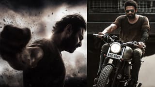 ಲಾಲ್ ಬಾಗ್​ನಲ್ಲಿ ದೈತ್ಯ ಲಾಂಟಾನ ಆನೆಗಳ ಹಿಂಡು; ಮಾರ್ಚ್ 3ರ ವರೆಗೆ ಮಾತ್ರ ಪ್ರದರ್ಶನ