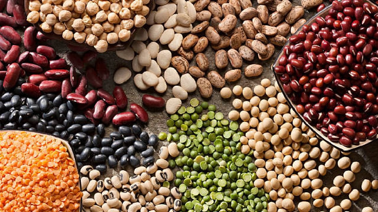 World Pulses Day: ಡಯಾಬಿಟಿಕ್ ರೋಗಿಗಳ ಸಕ್ಕರೆ ಮಟ್ಟ ನಿಯಂತ್ರಿಸುವ ಧಾನ್ಯಗಳಿವು