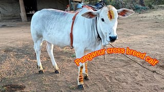 ಕಾಂಗ್ರೆಸ್​ಗೆ ನಿರಾಳ, ಜಪ್ತಿಯಾಗಿದ್ದ​ ಬ್ಯಾಂಕ್​ ಖಾತೆಯನ್ನು ಮುಕ್ತಗೊಳಿಸಿದ ಆದಾಯ ತೆರಿಗೆ ಇಲಾಖೆ