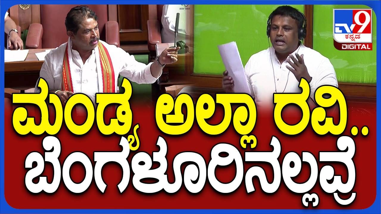 ಐಪಿಎಲ್ ಬೆಟ್ಟಿಂಗ್ ಒಂದು ಸಾಮಾಜಿಕ ಪಿಡುಗು, ನಿರ್ಮೂಲ ಮಾಡಲು ಸರ್ಕಾರ ಕಠಿಣ ಕ್ರಮಗಳನ್ನು ಅಳವಡಿಸಬೇಕು: ಆರ್ ಅಶೋಕ