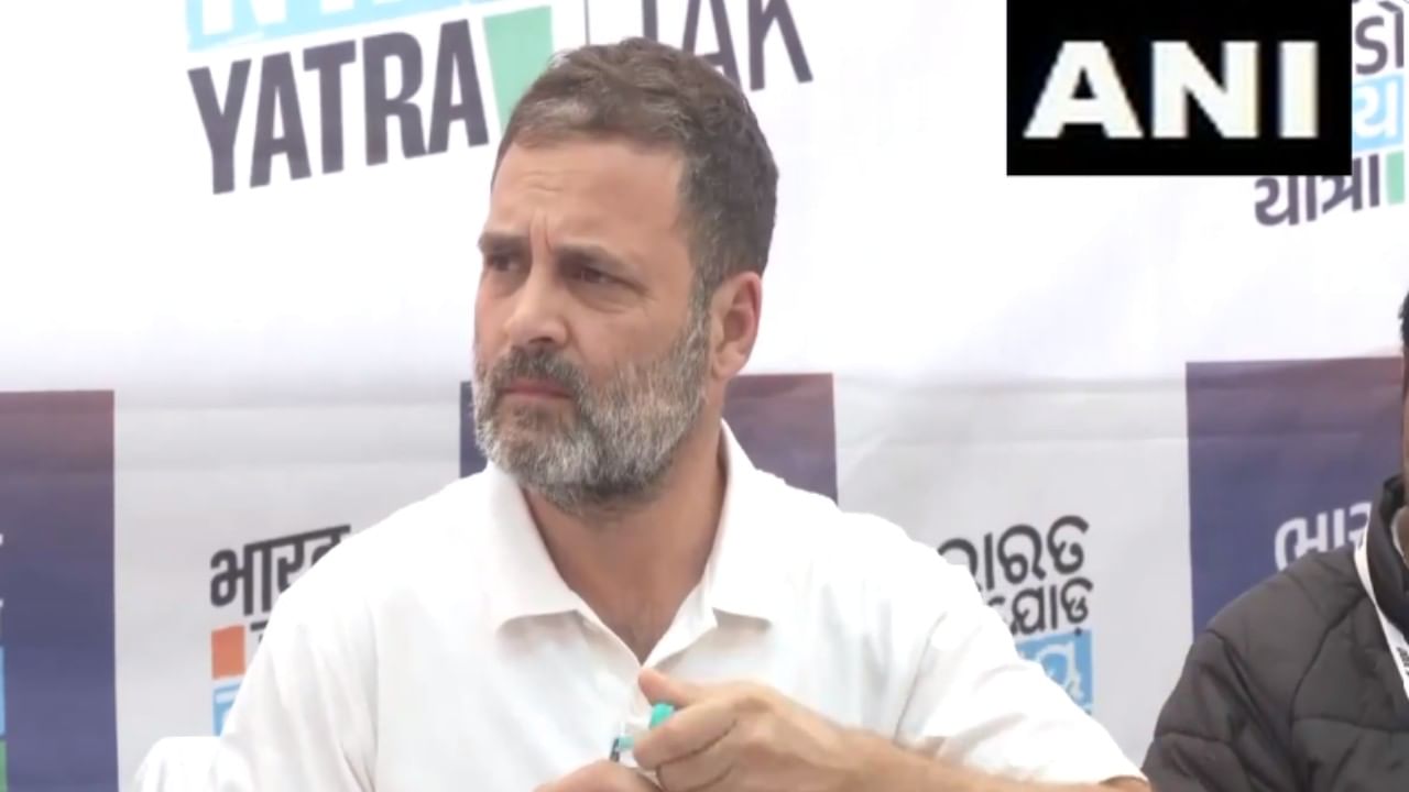 ನಾಯಿಗಳು ಬಿಜೆಪಿಗೆ ಹೇಗೆ ಹಾನಿ ಮಾಡಿವೆ?: ವೈರಲ್ ವಿಡಿಯೊ ಬಗ್ಗೆ ರಾಹುಲ್ ಗಾಂಧಿ ಪ್ರತಿಕ್ರಿಯೆ ನಾಯಿಗಳು ಬಿಜೆಪಿಗೆ ಹೇಗೆ ಹಾನಿ ಮಾಡಿವೆ?: ವೈರಲ್ ವಿಡಿಯೊ ಬಗ್ಗೆ ರಾಹುಲ್ ಗಾಂಧಿ ಪ್ರತಿಕ್ರಿಯೆ