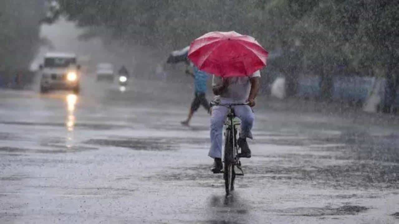 Karnataka Weather: ಕರ್ನಾಟಕದ ದಕ್ಷಿಣ ಒಳನಾಡಿನ ಬಹುತೇಕ ಕಡೆ ಶೀತ ಗಾಳಿ, 5 ಜಿಲ್ಲೆಗಳಲ್ಲಿ ಮಳೆ ಸಾಧ್ಯತೆ Karnataka Weather: ಕರ್ನಾಟಕದ ದಕ್ಷಿಣ ಒಳನಾಡಿನ ಬಹುತೇಕ ಕಡೆ ಶೀತ ಗಾಳಿ, 5 ಜಿಲ್ಲೆಗಳಲ್ಲಿ ಮಳೆ ಸಾಧ್ಯತೆ