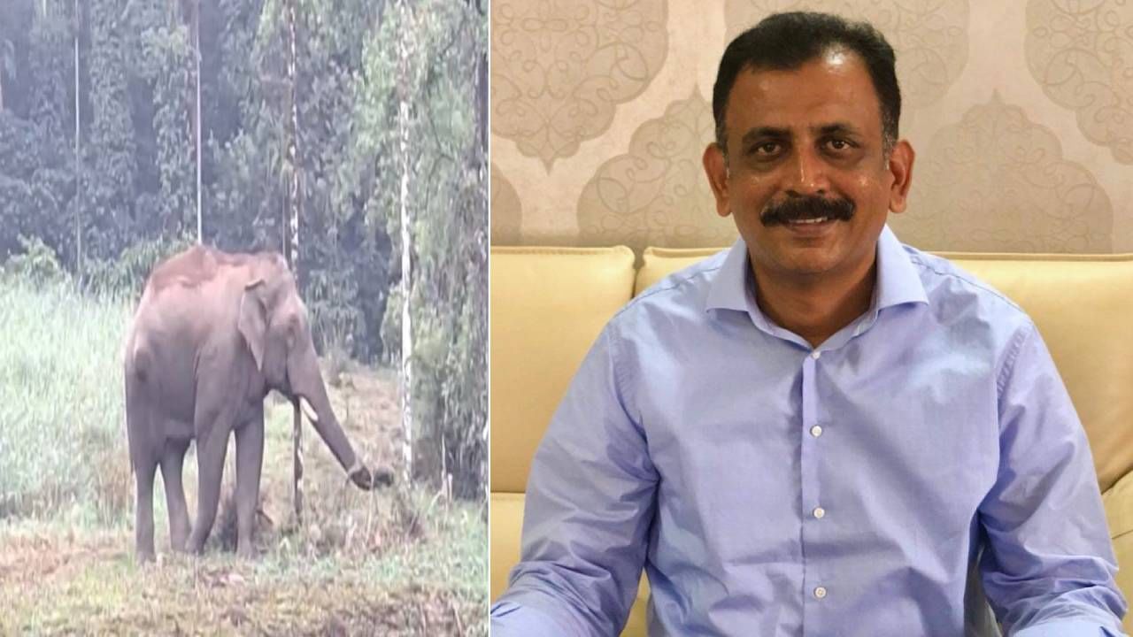 ರಾಮನಗರದಲ್ಲಿ 7 ವರ್ಷದಲ್ಲಿ ಕಾಡಾನೆ ದಾಳಿಗೆ 38ಕ್ಕೂ ಹೆಚ್ಚು ಜನರು ಬಲಿ: ಸದನದಲ್ಲಿ ಪ್ರಸ್ತಾಪಿಸಿದ ರವಿ ರಾಮನಗರದಲ್ಲಿ 7 ವರ್ಷದಲ್ಲಿ ಕಾಡಾನೆ ದಾಳಿಗೆ 38ಕ್ಕೂ ಹೆಚ್ಚು ಜನರು ಬಲಿ: ಸದನದಲ್ಲಿ ಪ್ರಸ್ತಾಪಿಸಿದ ರವಿ