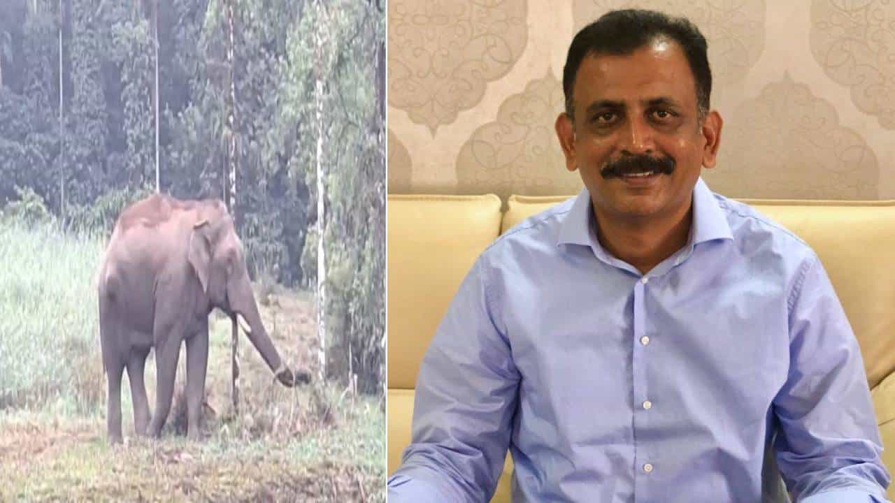 ರಾಮನಗರದಲ್ಲಿ 7 ವರ್ಷದಲ್ಲಿ ಕಾಡಾನೆ ದಾಳಿಗೆ 38ಕ್ಕೂ ಹೆಚ್ಚು ಜನರು ಬಲಿ: ಸದನದಲ್ಲಿ ಪ್ರಸ್ತಾಪಿಸಿದ ರವಿ ರಾಮನಗರದಲ್ಲಿ 7 ವರ್ಷದಲ್ಲಿ ಕಾಡಾನೆ ದಾಳಿಗೆ 38ಕ್ಕೂ ಹೆಚ್ಚು ಜನರು ಬಲಿ: ಸದನದಲ್ಲಿ ಪ್ರಸ್ತಾಪಿಸಿದ ರವಿ