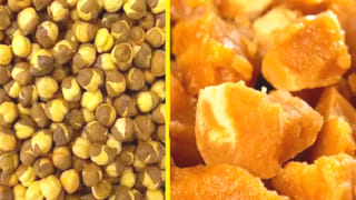 National Science Day 2024: ಹೊಸ ಹೊಸ ಅವಿಷ್ಕಾರದ ಫಲವಾಗಿ ಮಾನವನ ಜೀವನದ ಹಾದಿ ಇನ್ನಷ್ಟು ಸುಗಮ