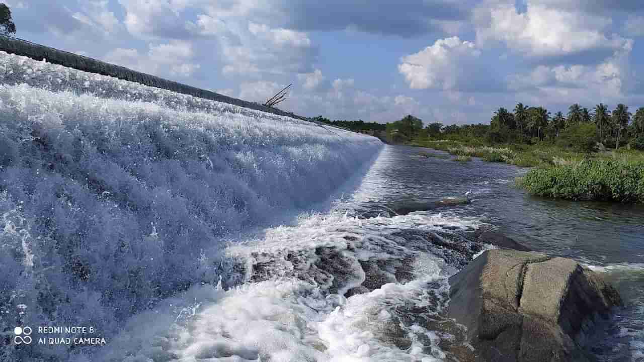 Karnataka Dam Water Level: ಮಾ.05ರ ರಾಜ್ಯದ ಪ್ರಮುಖ ಡ್ಯಾಂಗಳ ನೀರಿನ ಮಟ್ಟದ ವಿವರ ಇಲ್ಲಿದೆ