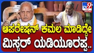 BBMP Budget: ಹೊಸ ಜಾಹೀರಾತು ನೀತಿಯಿಂದ 500 ಕೋಟಿ ಆದಾಯ ಹೆಚ್ಚಿಸಲು ಚಿಂತನೆ; ಆನ್​ಲೈನ್​ ಮೂಲಕ ಜಾಹೀರಾತು ಪರವಾನಗಿ ನೀಡಲು ಪ್ಲ್ಯಾನ್​